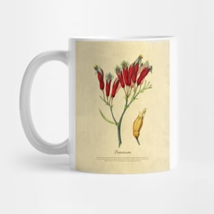 Phormium With Details Mug